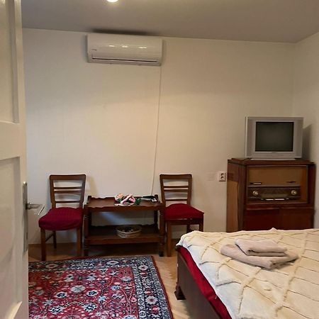 Emese Central Vintage Apartment Târgu-Mureş المظهر الخارجي الصورة