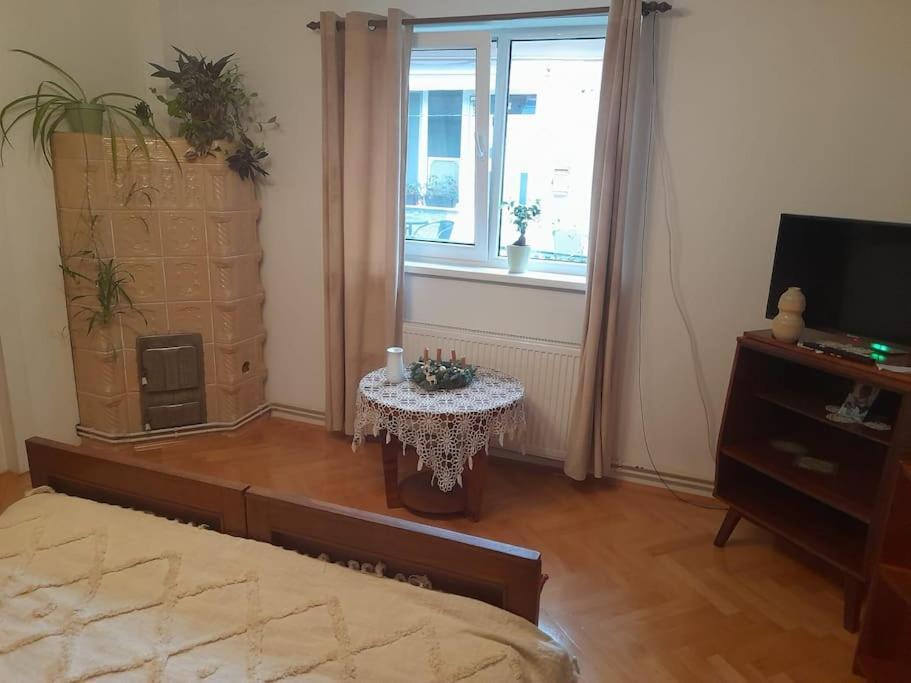 Emese Central Vintage Apartment Târgu-Mureş المظهر الخارجي الصورة