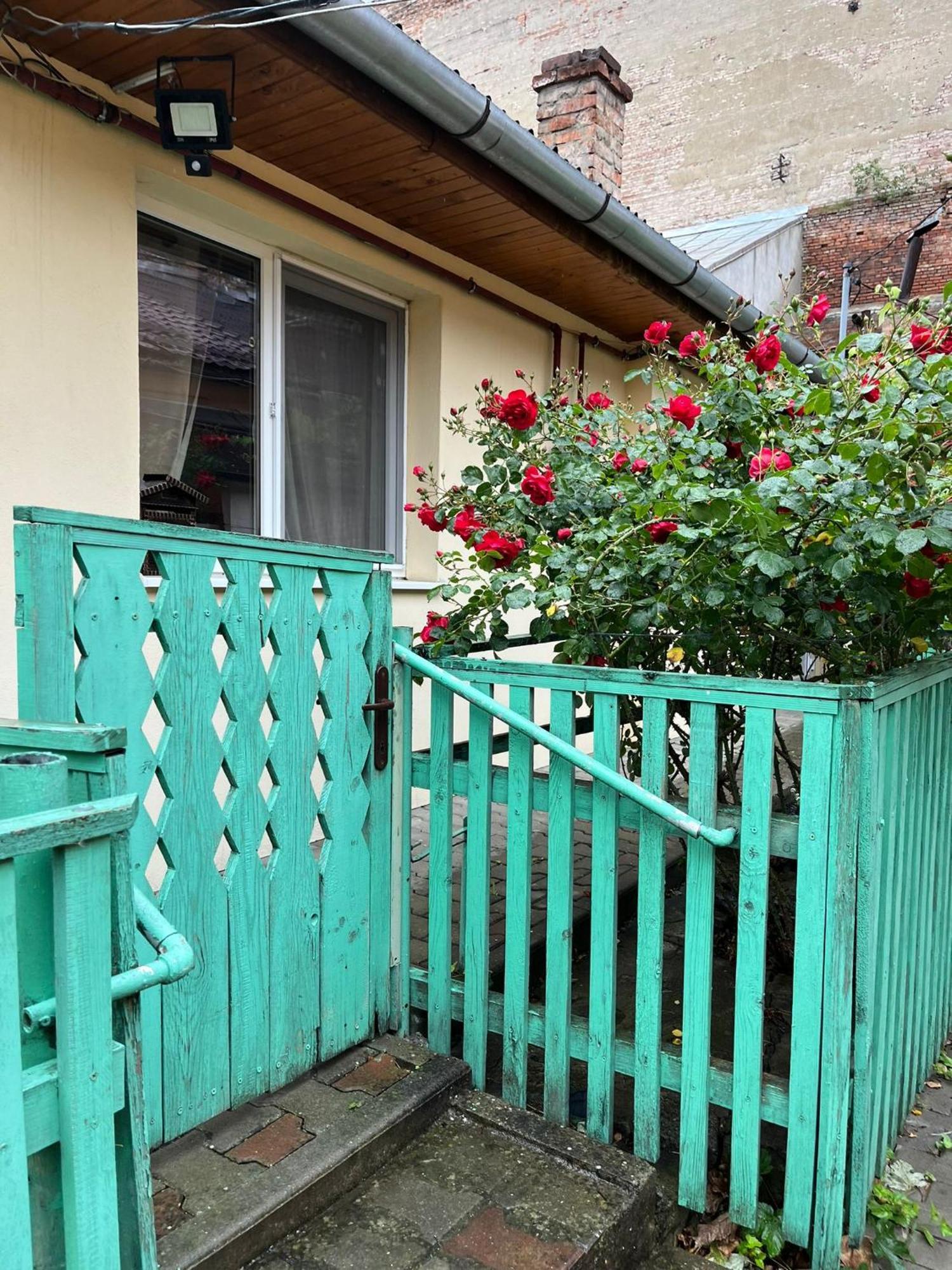 Emese Central Vintage Apartment Târgu-Mureş المظهر الخارجي الصورة